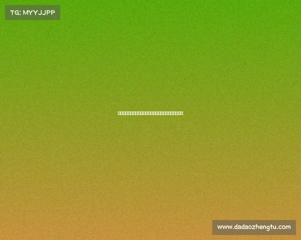 中华咏春拳世界巡回赛震撼开启各路英豪齐聚争夺至高荣耀